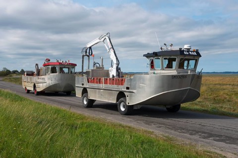 Amphibious vehicles on the road on the way to the mussel harvest