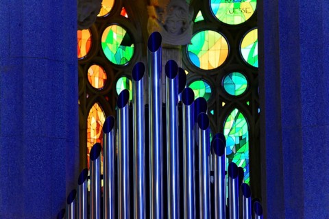 Organ