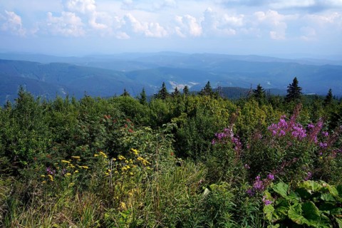 Moravian-Silesian Beskydy