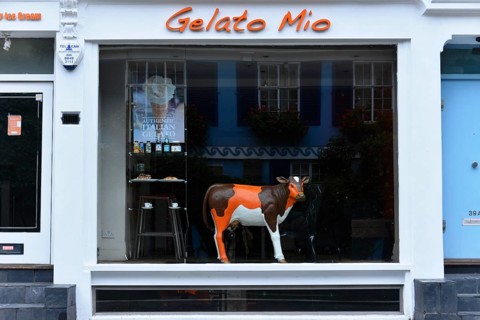 Gelato Mio
