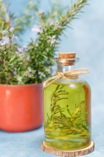 Glass bottle with rosemary essential oil next to a pitcher with fresh rosemary branches and blue background