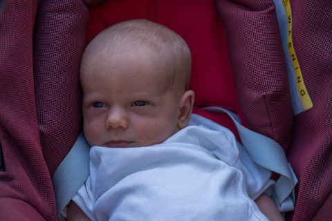 Baby in baby carrier