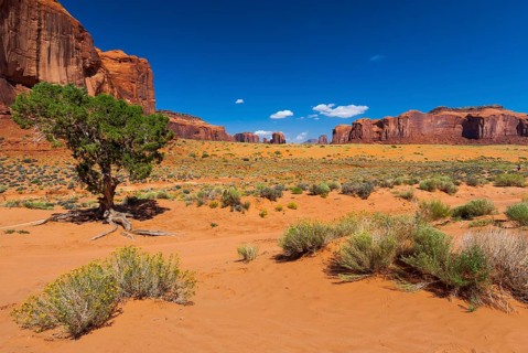 Rock formation in Monument valley