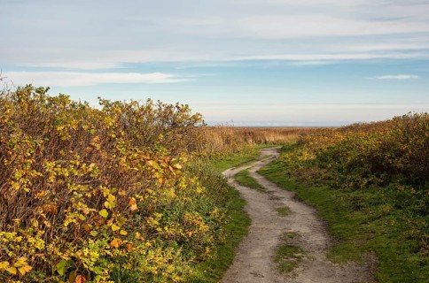 Nature trail through the Morsum-Kliff geotope