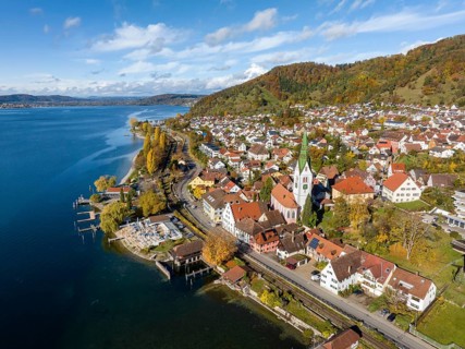 Aerial view of the village of Sipplingen on Lake Constance with autumn vegetation