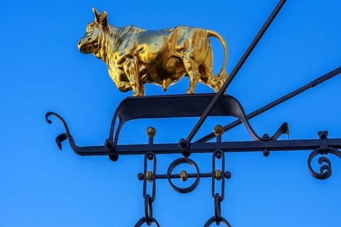 Nose shield with golden bull