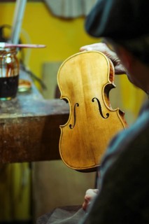 Senior expert violin maker luthier
