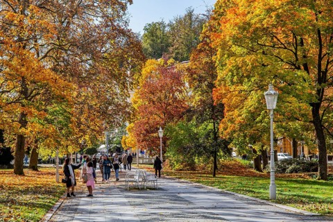 Promenade in autumn spa park