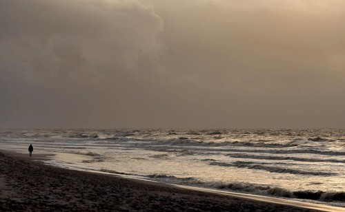 Lonely walker on the beach at sunset
