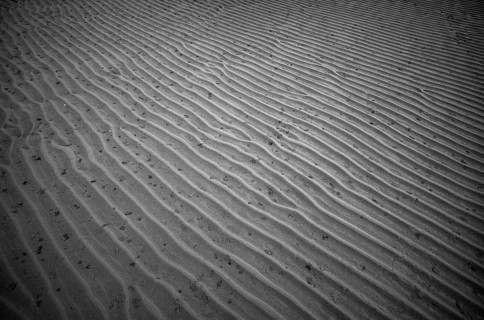Sand ripples