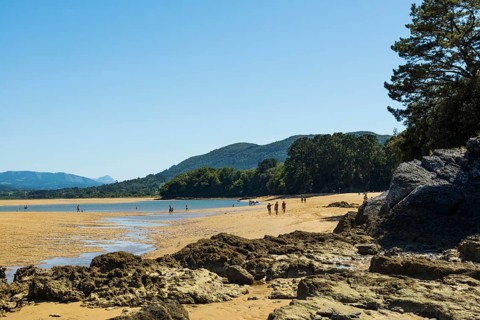 Beach and coast