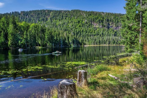 Nature reserve Grosser Arbersee with lake wall 1340m