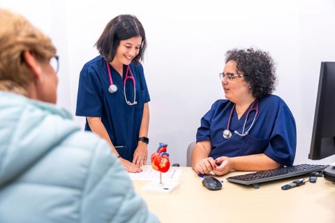 Cardiologist and nurse talking in a clinic next to patient with a model of a heart in the table