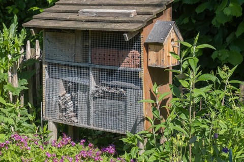 Insect hotel