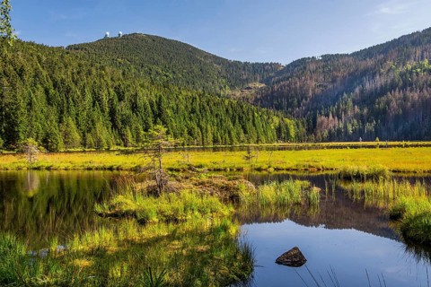 Nature reserve Kleiner Arbersee with floating islands and Grosser Arber 1456m