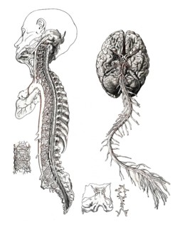 Medicine
