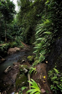 Tibumana waterfall