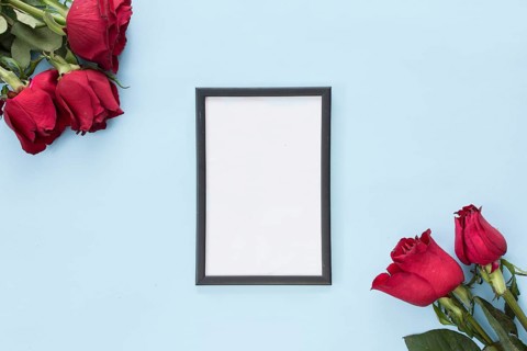 Bunches red flowers frame