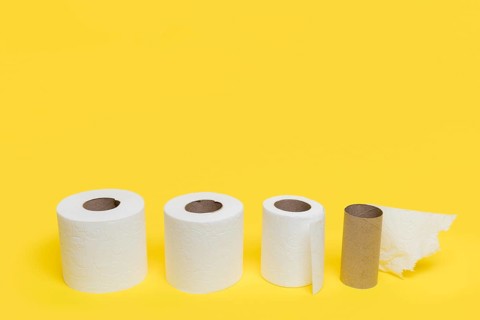 High angle different sized toilet tissue paper
