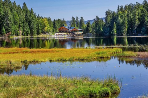 Nature reserve Grosser Arbersee with Arberseehaus