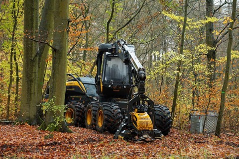 A forestry harvester parked in a deciduous forest. Germany