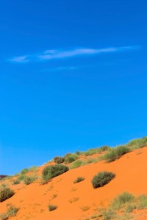 Orange-coloured dune landscape in Monument valley