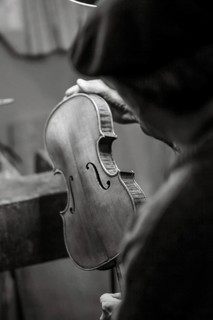 Senior expert violin maker luthier