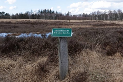 Biotope protection area sign in front of the wet meadows in the Professormoor in the Duvenstedter Brook nature reserve