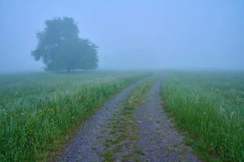 Path