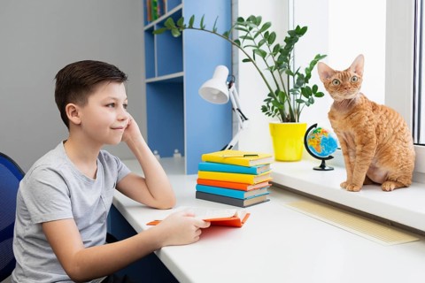 Boy reading looking cat