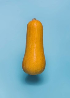 Close up butternaut squash blue backdrop