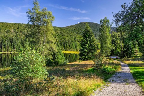 Hiking trail in the nature reserve Kleiner Arbersee with Grosser Arber 1456m