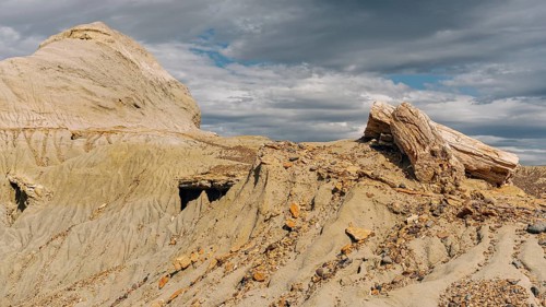 Petrified Forest Sarmiento