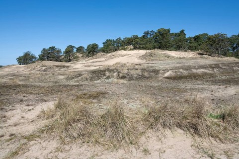 Inland dunes