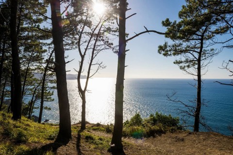 Cliffs