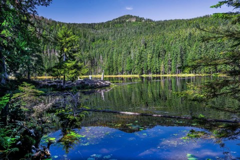 Nature reserve Grosser Arbersee with Grosser Arber 1456m. Bayerisch-Eisenstein
