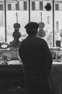 Senior expert luthier artisan violin maker carve sculpt chisel ribs of a new classical model cello in workshop Cremona Italy