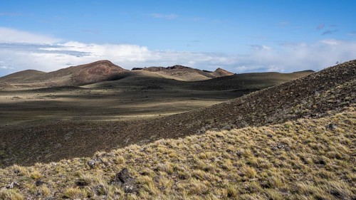 Patagonian steppe