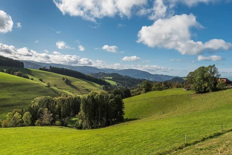 Hilly landscape in the southern Black Forest near St. Maergen