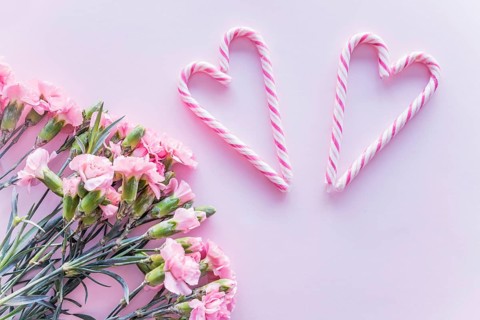 Candy canes heart shape with flowers