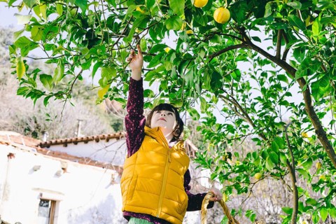 Girl lemon tree