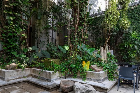 Green courtyard in a hotel