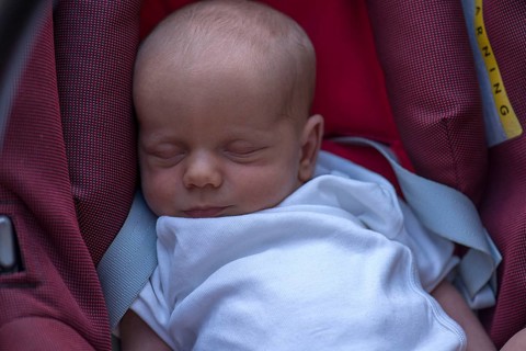 Baby in baby carrier