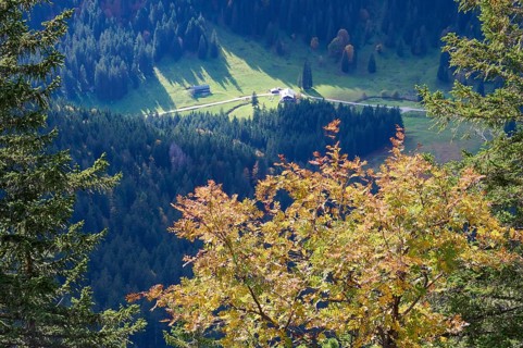 View from the Hirschberg to the Schwarzentennalm in autumn