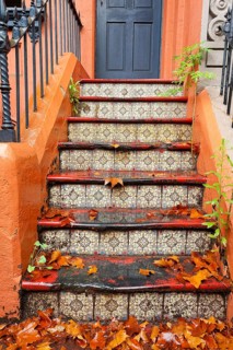 Old staircase with tiles and foliage