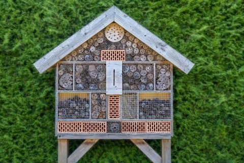 Insect hotel in front of a