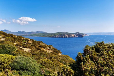 View of coastline