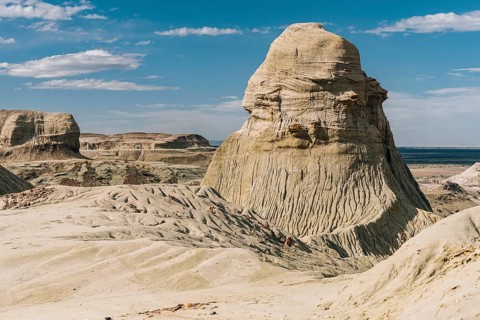 Petrified Forest Sarmiento