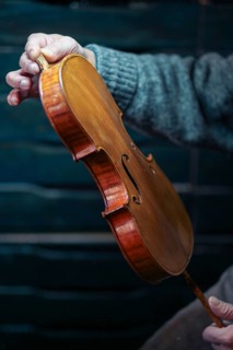 Senior expert violin maker luthier