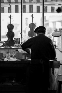 Senior expert luthier artisan violin maker carve sculpt chisel ribs of a new classical model cello in workshop Cremona Italy